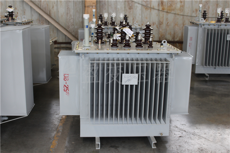 白城S20-800kVA/10kV/0.4kV变压器